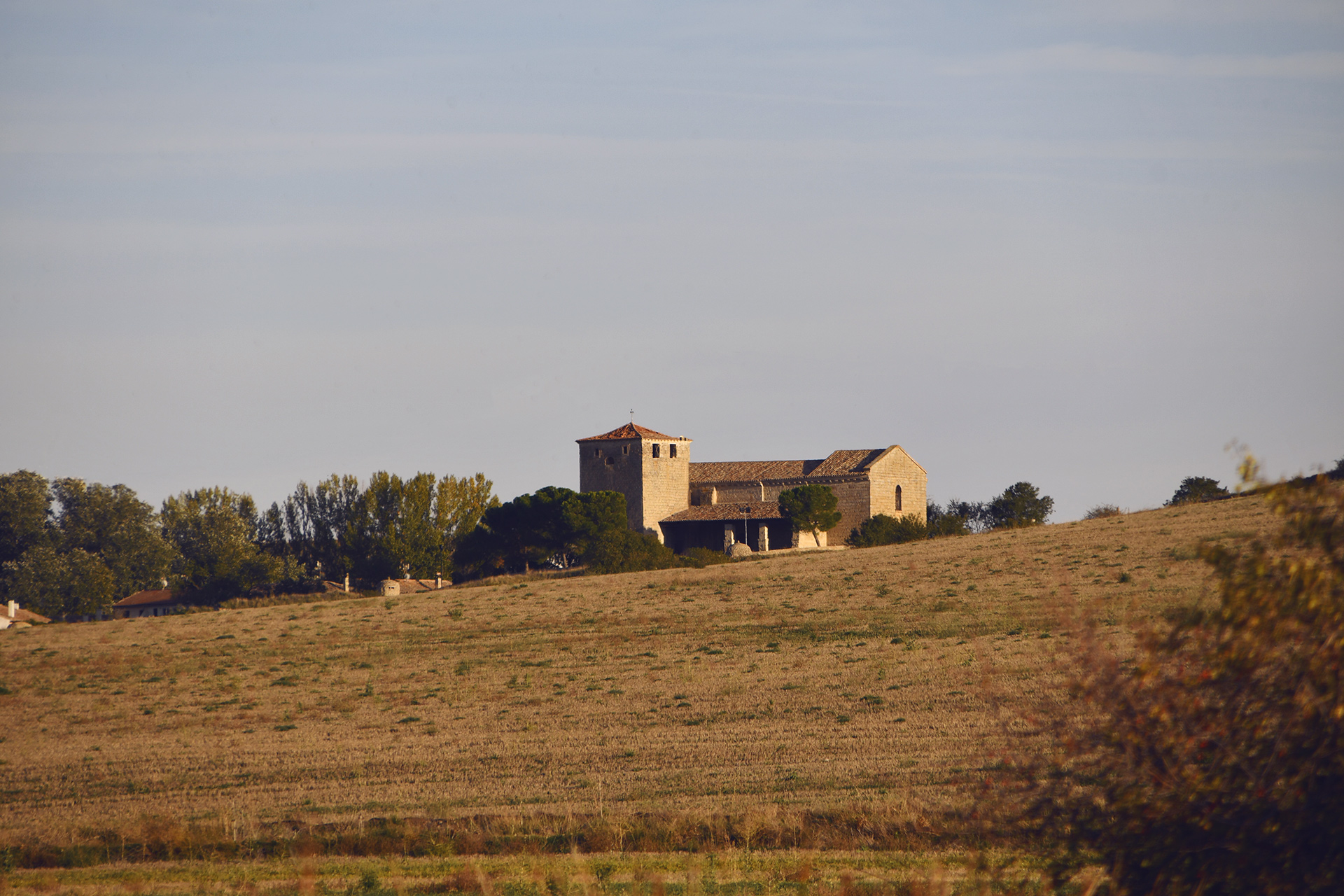 Montes Torozos en Valladolid